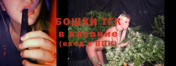 ПСИЛОЦИБИНОВЫЕ ГРИБЫ Карталы
