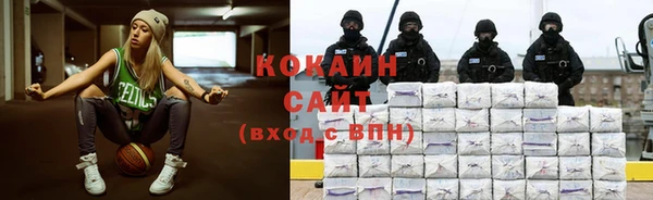 твердый Козловка