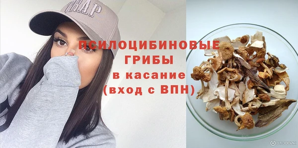 гидра Касимов