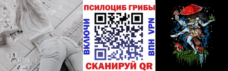 Купить закладки  Минусинск  Псилоцибиновые грибы мухоморы 